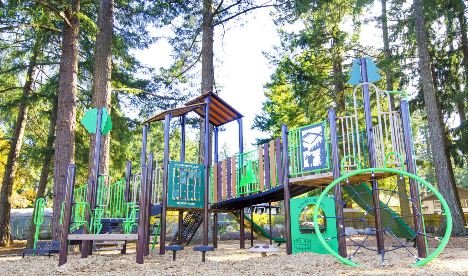 A playground with slides and swings in the woods.